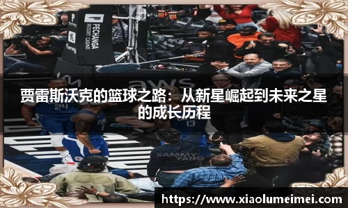 雷竞技官网地址